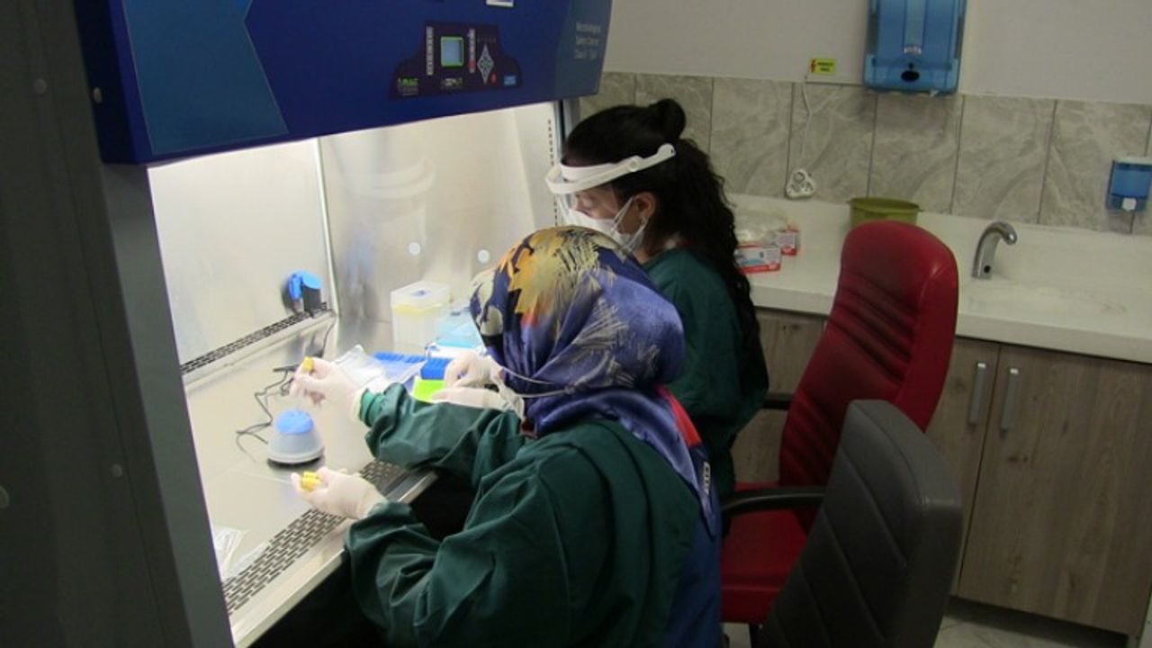 Elbistan'da Kovid-19 Testleri İçin PCR Laboratuvarı Kuruldu