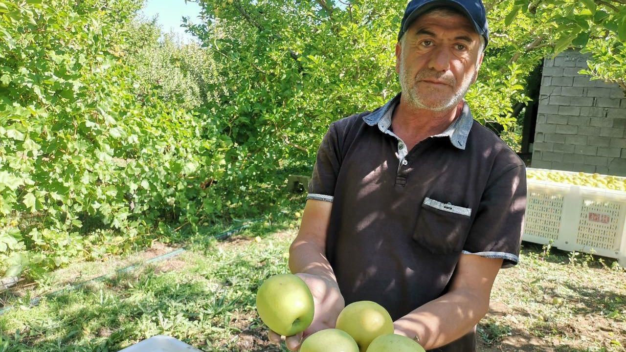 Kahramanmaraş'ta 60 Bin Ton Elma Rekoltesi Bekleniyor