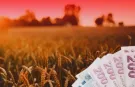 TMO'dan Üreticiye 4,5 Milyar TL'lik Ödeme
