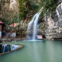 Yaşam