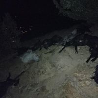 Kahramanmaraş