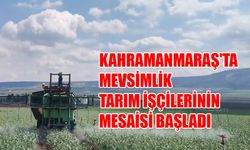 Kahramanmaraş'ta Mevsimlik Tarım İşçilerinin Mesaisi Başladı