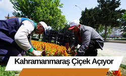 Kahramanmaraş Çiçek Açıyor