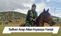 Safkan Arap Atları Kıyasıya Yarıştı
