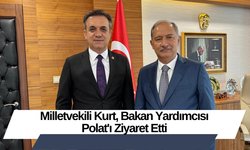 Milletvekili Kurt, Bakan Yardımcısı Polat'ı Ziyaret Etti