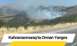 Kahramanmaraş’ta Orman Yangını