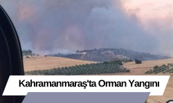 Kahramanmaraş'ta Orman Yangını