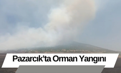 Pazarcık’ta Orman Yangını