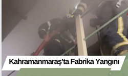 Kahramanmaraş’ta Fabrika Yangını