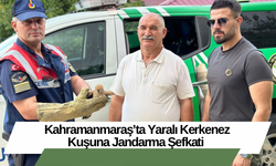 Kahramanmaraş’ta Yaralı Kerkenez Kuşuna Jandarma Şefkati