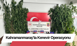 Kahramanmaraş’ta Kenevir Operasyonu