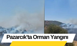 Pazarcık’ta Orman Yangını