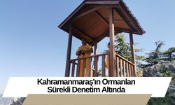 Kahramanmaraş'ın Ormanları Sürekli Denetim Altında