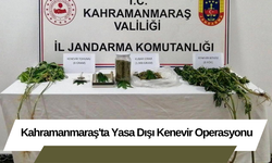 Kahramanmaraş'ta Yasa Dışı Kenevir Operasyonu