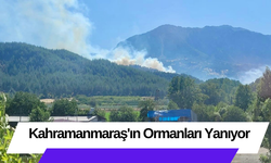 Kahramanmaraş'ın Ormanları Yanıyor!