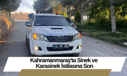 Kahramanmaraş'ta Sinek ve Karasinek İstilasına Son