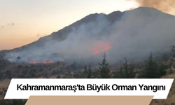 Kahramanmaraş'ta Büyük Orman Yangını