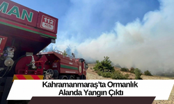 Kahramanmaraş’ta Ormanlık Alanda Yangın Çıktı