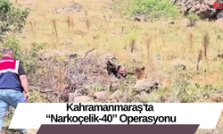 Kahramanmaraş’ta “Narkoçelik-40” Operasyonu