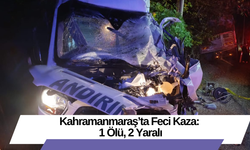 Kahramanmaraş’ta Feci Kaza: 1 Ölü, 2 Yaralı