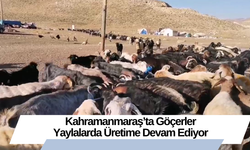 Kahramanmaraş’ta Göçerler Yaylalarda Üretime Devam Ediyor