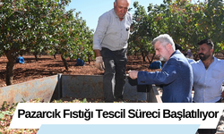 Pazarcık Fıstığı Tescil Süreci Başlatılıyor