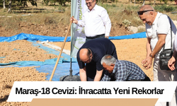 Maraş-18 Cevizi: İhracatta Yeni Rekorlar