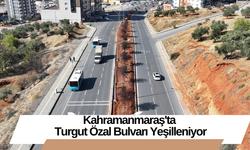 Kahramanmaraş'ta Turgut Özal Bulvarı Yeşilleniyor