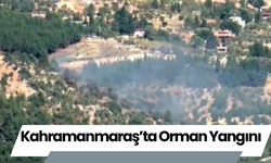 Kahramanmaraş’ta Orman Yangını