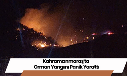 Kahramanmaraş'ta Orman Yangını Panik Yarattı