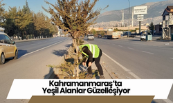 Kahramanmaraş’ta Yeşil Alanlar Güzelleşiyor