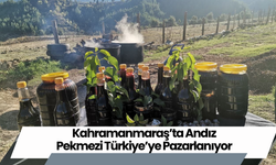 Kahramanmaraş’ta Andız Pekmezi Türkiye’ye Pazarlanıyor