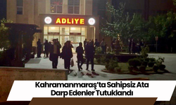 Kahramanmaraş’ta Sahipsiz Ata Darp Edenler Tutuklandı