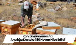 Kahramanmaraş’ta Arıcılığa Destek: 480 Kovan Hibe Edildi