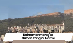 Kahramanmaraş'ta Orman Yangını Alarmı