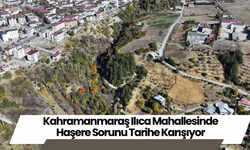 Kahramanmaraş Ilıca Mahallesinde Haşere Sorunu Tarihe Karışıyor