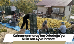 Kahramanmaraş’tan Ortadoğu’ya 5 Bin Ton Ayva İhracatı