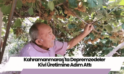 Kahramanmaraş'ta Depremzedeler Kivi Üretimine Adım Attı