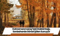 Kahramanmaraş’taki Düldül Dağı, Sonbaharda Görsel Şölen Sunuyor