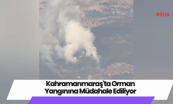 Kahramanmaraş'ta Orman Yangınına Müdahale Ediliyor