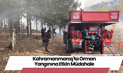 Kahramanmaraş'ta Orman Yangınına Etkin Müdahale