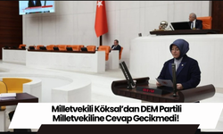 Milletvekili Köksal’dan DEM Partili Milletvekiline Cevap Gecikmedi!