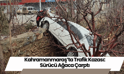 Kahramanmaraş’ta Trafik Kazası: Sürücü Ağaca Çarptı