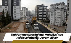 Kahramanmaraş'ta Vadi Mahallesi'nde Asfalt Seferberliği Devam Ediyor