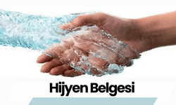 Hijyen Belgesi