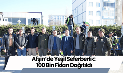 Afşin’de Yeşil Seferberlik: 100 Bin Fidan Dağıtıldı