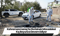 Kahramanmaraş’ta Sivrisinek Mücadelesi Kış Boyunca Devam Ediyor