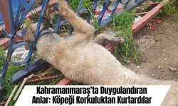 Kahramanmaraş’ta Duygulandıran Anlar: Köpeği Korkuluktan Kurtardılar