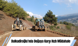 Dulkadiroğlu’nda Doğaya Karşı Hızlı Müdahale