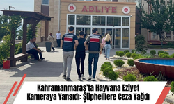 Kahramanmaraş’ta Hayvana Eziyet Kameraya Yansıdı: Şüphelilere Ceza Yağdı